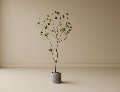 现代盆栽盆景 植物绿植su模型