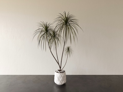  植物 绿植 盆栽 盆景 花盆3d模型 