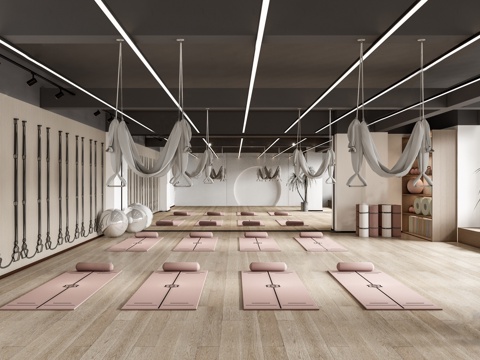 现代健身瑜伽教室 瑜伽垫 射灯su模型