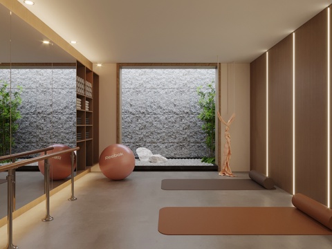 现代瑜伽室 健身用品 健身房su模型