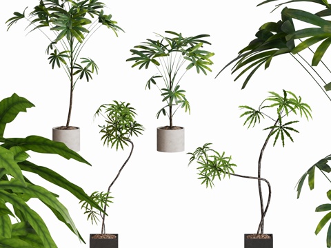 现代植物盆栽摆件su模型
