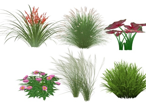 现代庭院花卉植物组合su模型