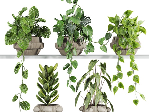  现代北欧盆景盆栽3d模型 