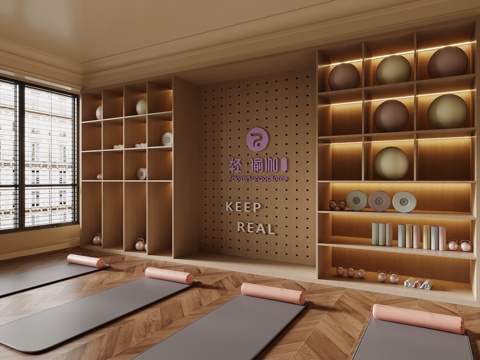 现代瑜伽室 健身用品su模型