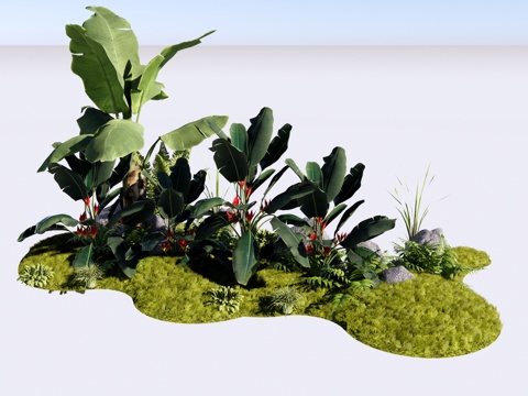 现代 芭蕉树 阔叶类植物组合 热带植物 景观造景 天堂鸟 蕨su模型