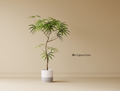 现代盆栽盆景 绿植 植物摆件su模型