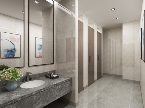  公厕女卫生间3d模型 