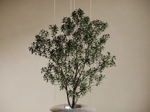 现代绿植 植物su模型