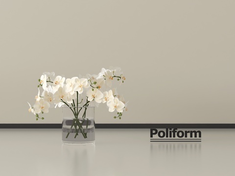 现代花瓶 花艺 玻璃花瓶 兰花绿植盆栽su模型