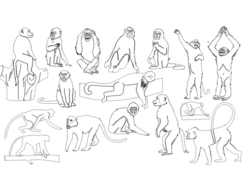 猩猩动物图库cad施工图