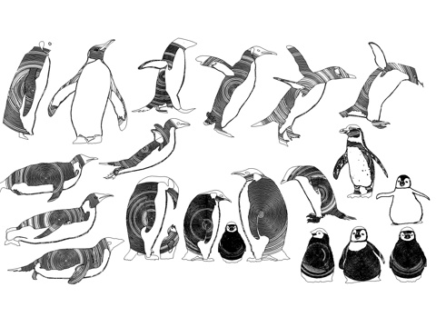 企鹅兔子动物图库cad施工图