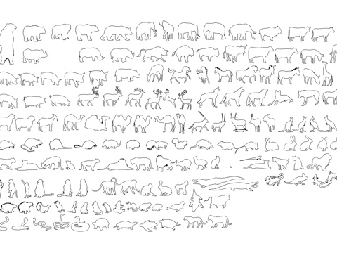 浣熊猴子动物图库cad施工图