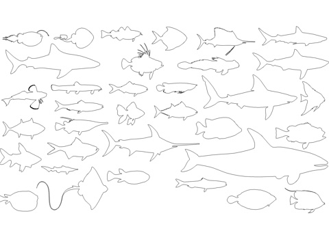 章鱼海洋生物图库cad施工图