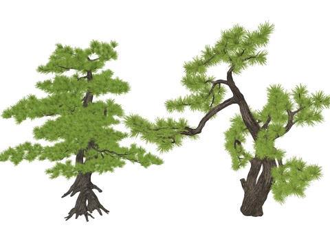 新中式造型松植物su模型