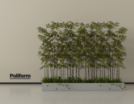 现代竹子 盆栽竹子 树池竹子 庭院小品 庭院竹 花池花坛su模型