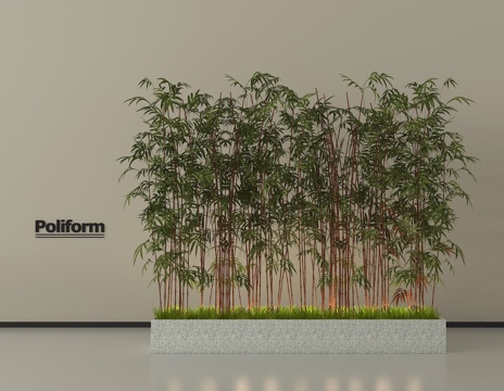 现代竹子 盆栽竹子 树池竹子 庭院小品 庭院竹 花池花坛su模型