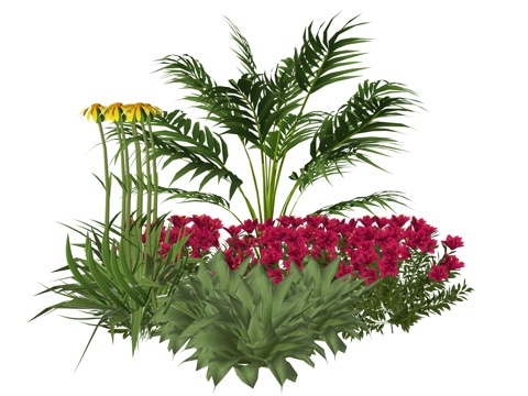 现代庭院植物组合su模型