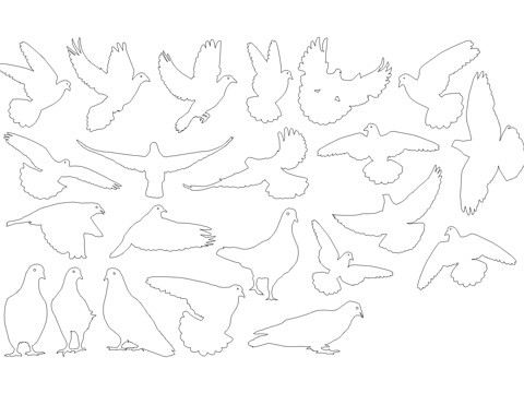 鸽子蝴蝶动物图库cad施工图