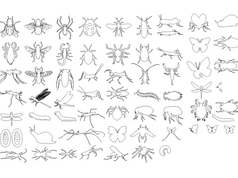昆虫鱼海洋生物图库cad施工图
