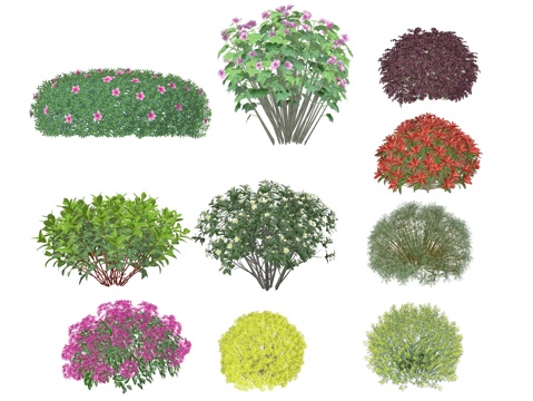 现代灌木球植物su模型