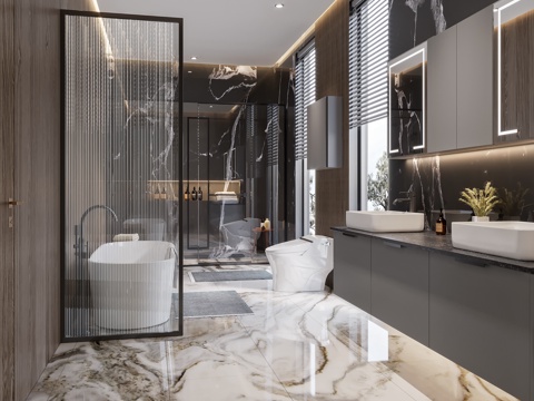  别墅卫生间现代卫生间干湿分离卫生间 主卧卫生间 浴缸卫生间3d模型 