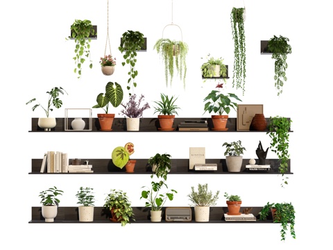 绿植 盆栽 吊兰 摆件 绿萝su模型