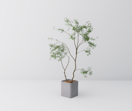 植物盆栽su模型