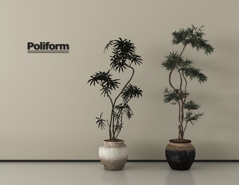  现代绿植盆栽 盆栽 盆景3d模型 