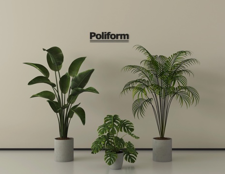  现代绿植盆栽 盆栽 盆景3d模型 