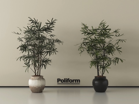 现代绿植盆栽 盆栽 盆景su模型