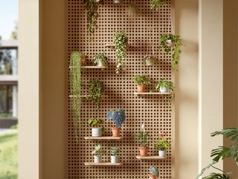 阳台绿植 盆栽 洞洞板 吊兰su模型