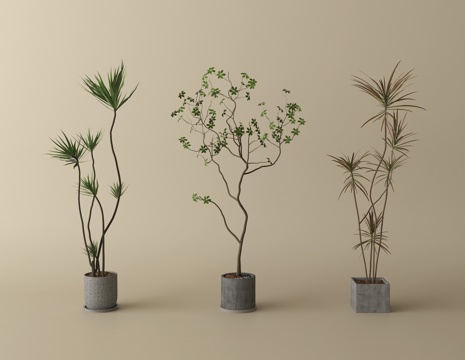 现代绿植盆栽 盆栽 盆景su模型