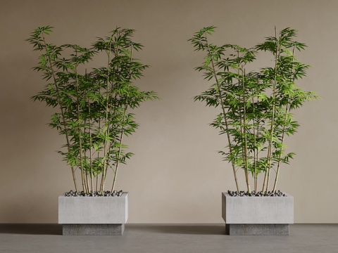 新中式绿植 竹竿 竹子su模型