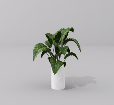 植物盆栽su模型