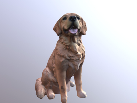 金毛寻回犬su模型