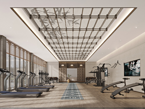 新中式健身房 健身器材su模型