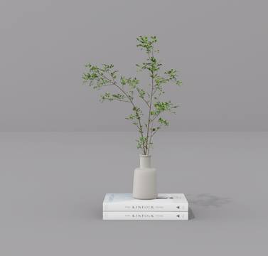 植物摆件su模型