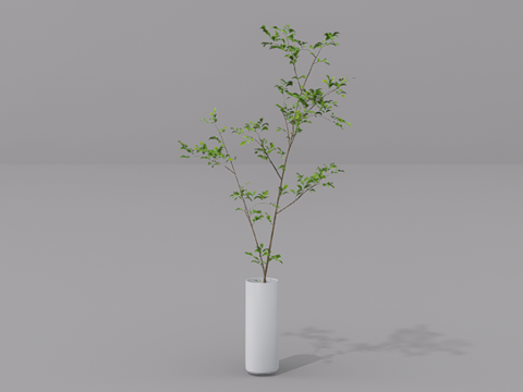 植物摆件su模型