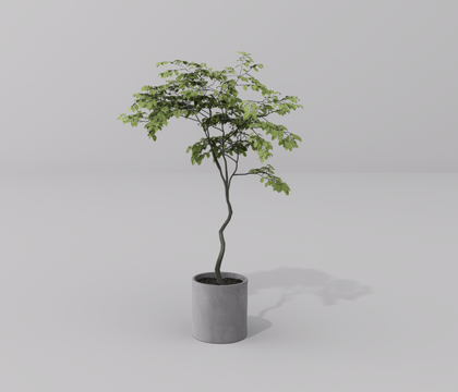  绿植盆栽su模型 