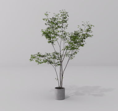  绿植盆栽su模型 