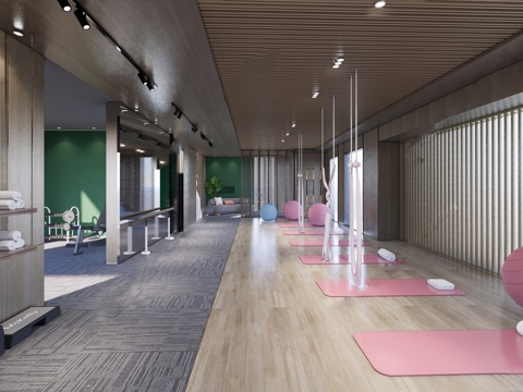 现代简约健身房 瑜伽室 健身器材su模型