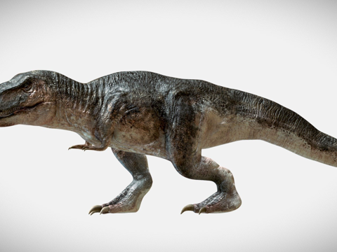 可动霸王龙骨架su模型