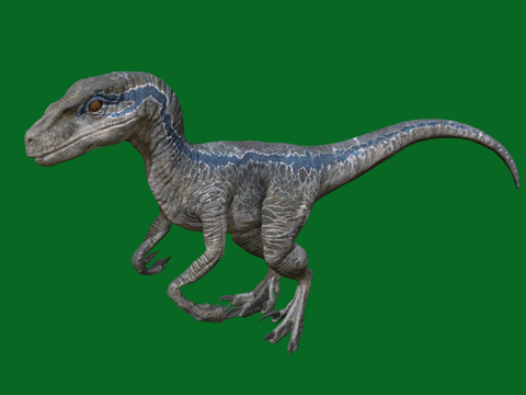 迅猛龙蓝色su模型