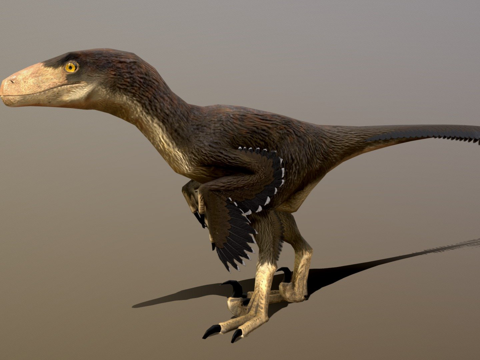 低多边形迅猛龙-动画版su模型