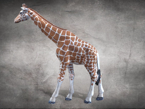 玩具长颈鹿su模型