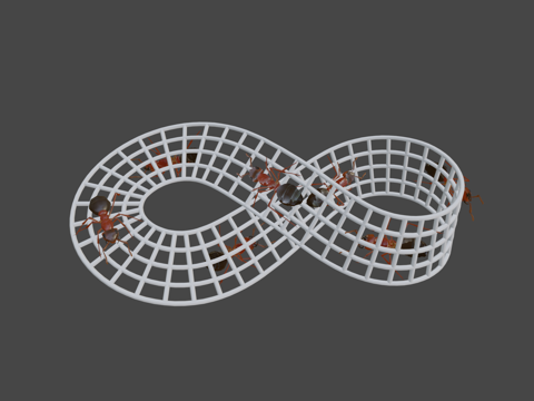 莫比乌斯带su模型