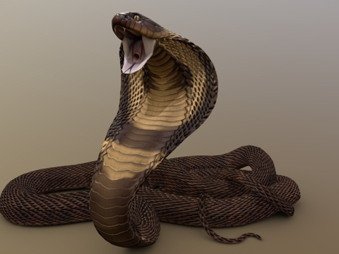 攻击眼镜蛇su模型