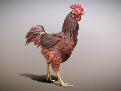 行走小鸡动画su模型