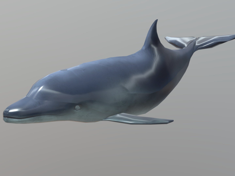 游戏级海豚su模型