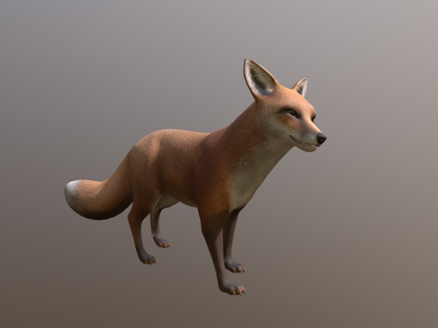 狐狸待机su模型